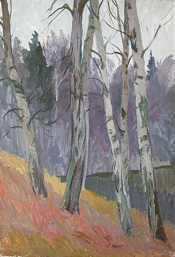 Old Birches. Sketch autumn landscape - oil painting